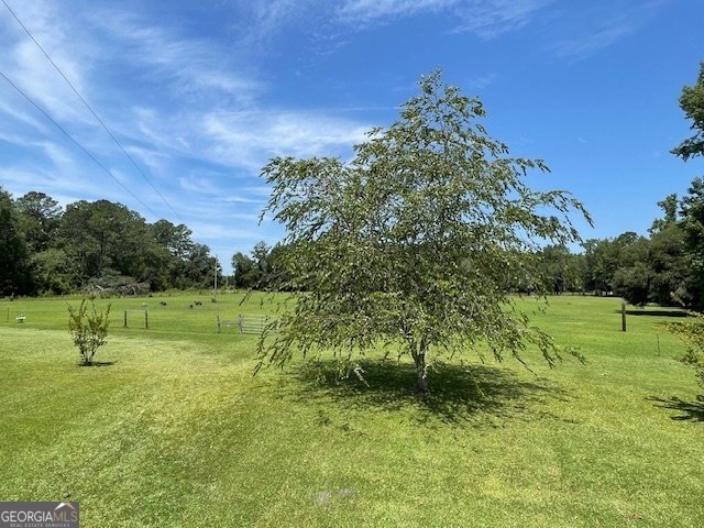 1279 Sand Hill Road Brooklet - 9