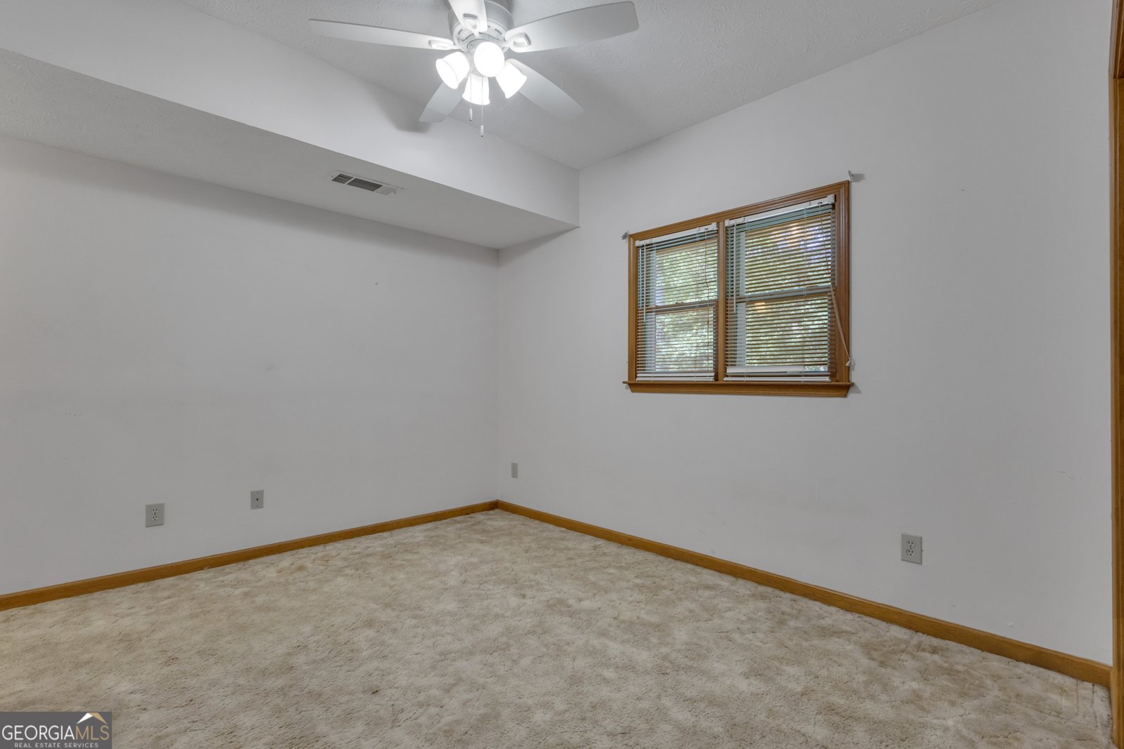 390 Stoneridge Way Fayetteville - 59