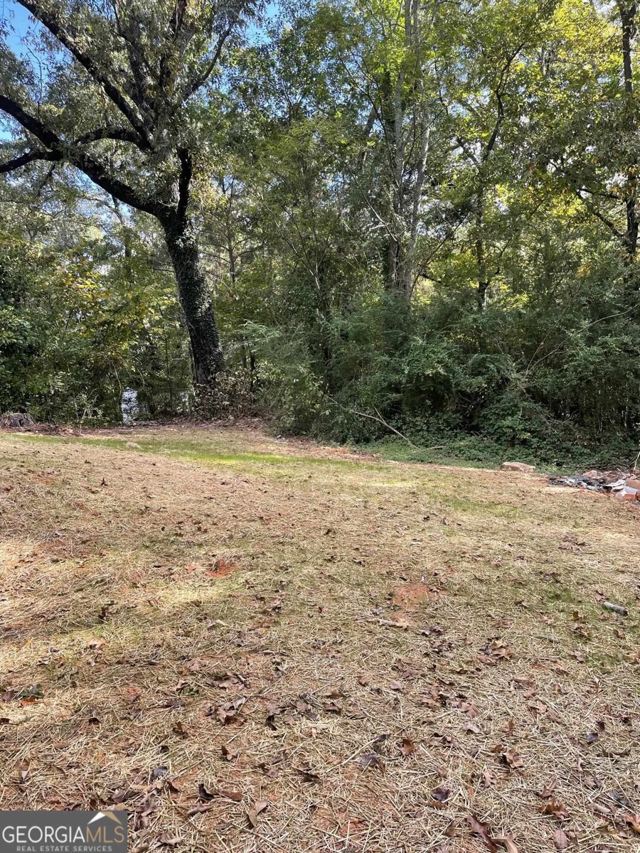 319 Cooley Road Lagrange - 19