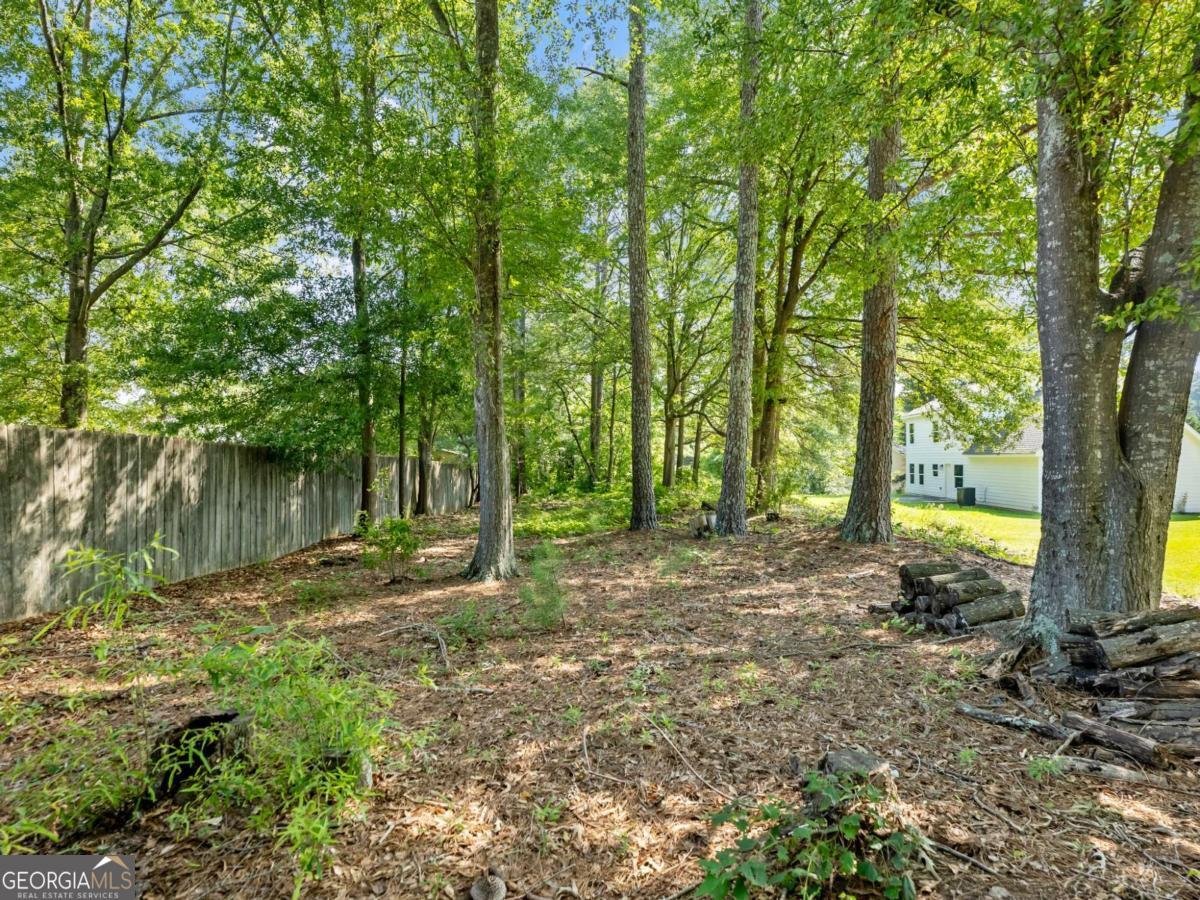 443 Rhett Drive Loganville - 36