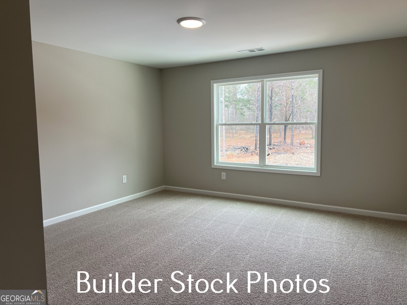 LOT 2 Silver Dollar Road Barnesville - 3
