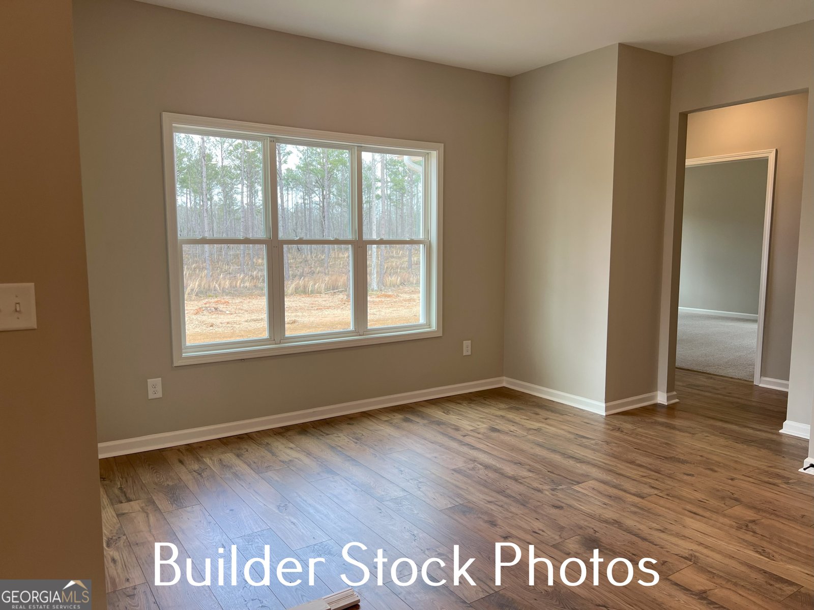 LOT 2 Silver Dollar Road Barnesville - 30