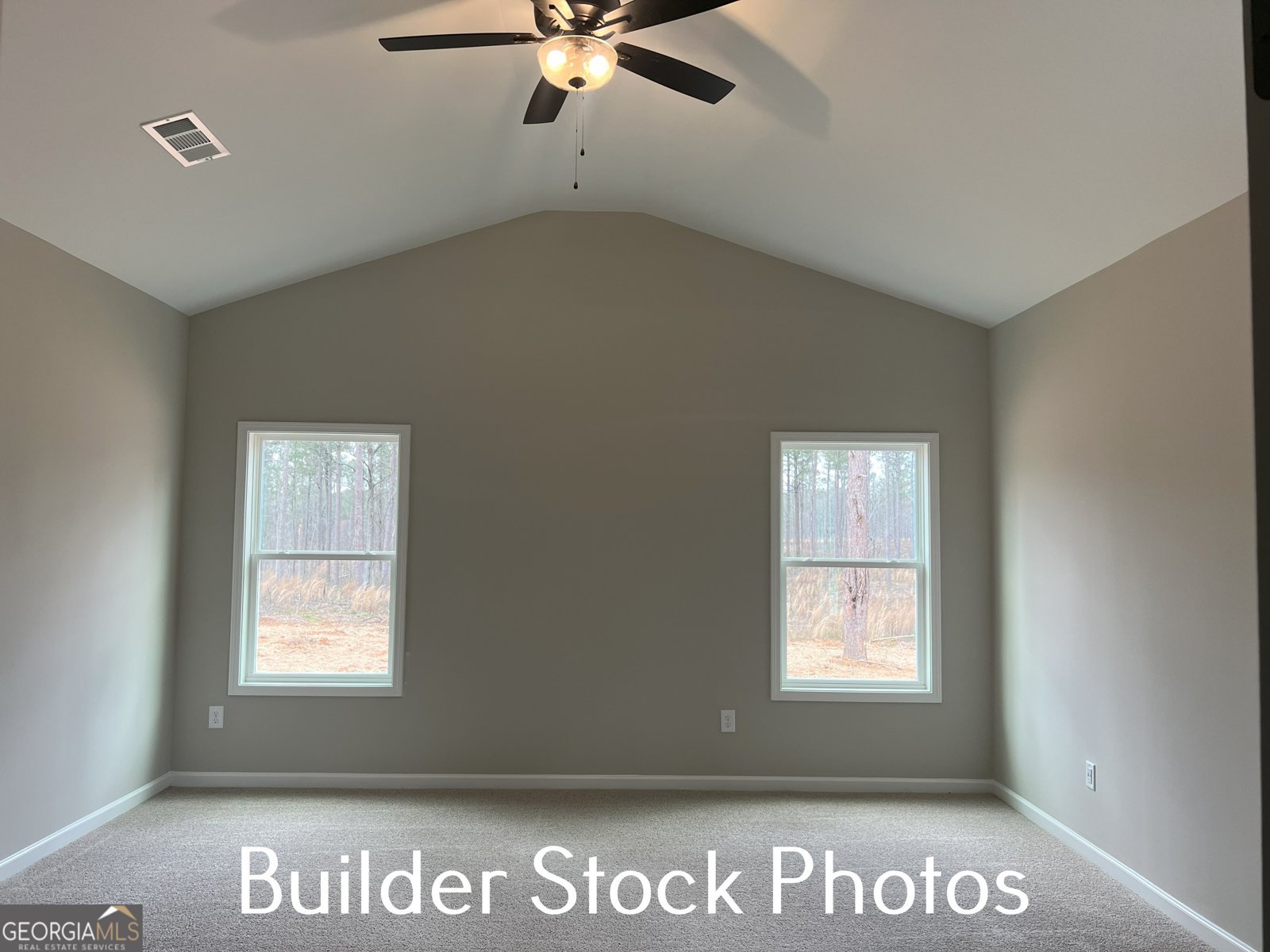 LOT 2 Silver Dollar Road Barnesville - 31