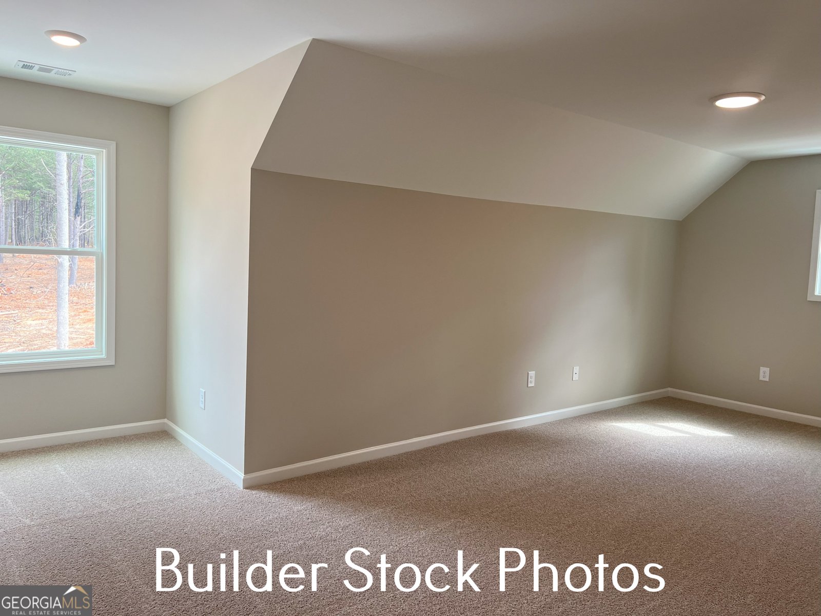 LOT 2 Silver Dollar Road Barnesville - 5