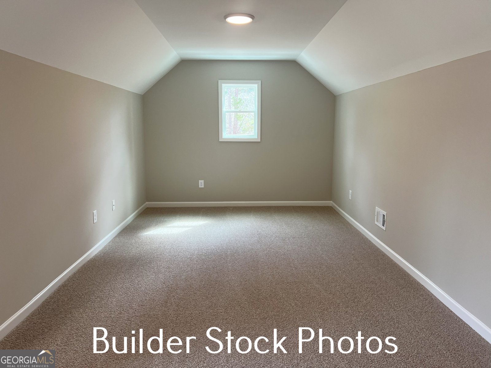 LOT 2 Silver Dollar Road Barnesville - 51