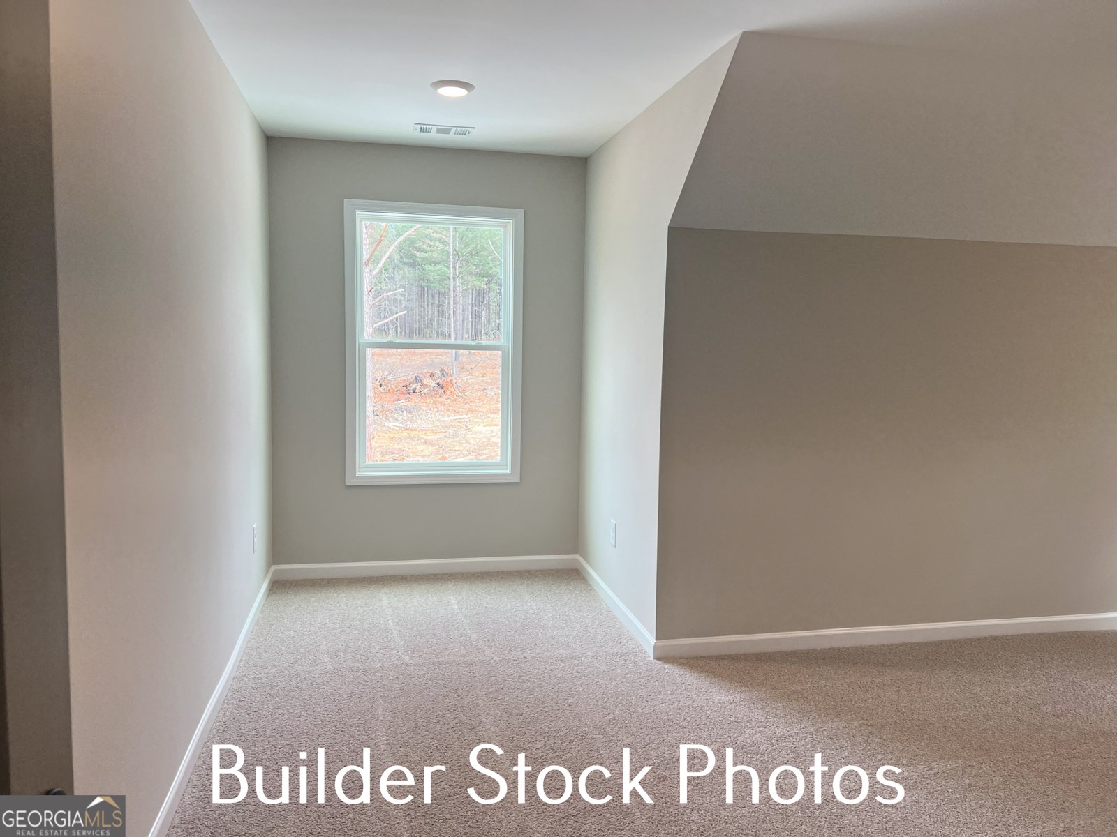 LOT 2 Silver Dollar Road Barnesville - 6