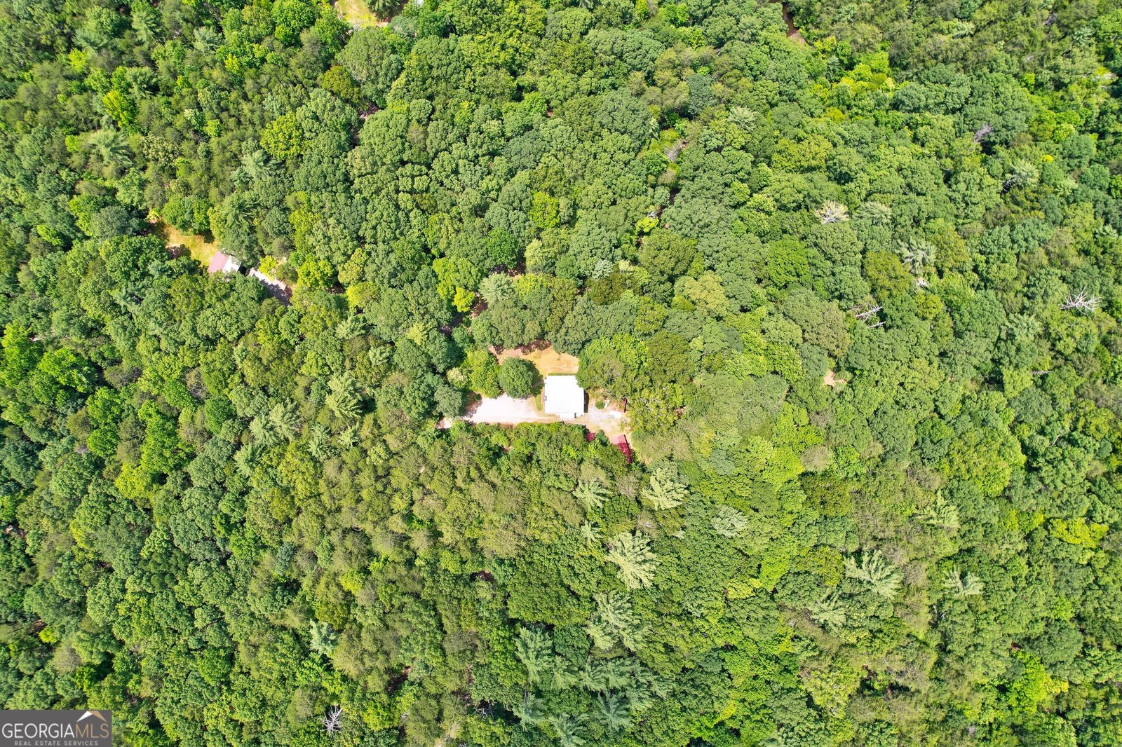 62 Peach Lane Ellijay - 53