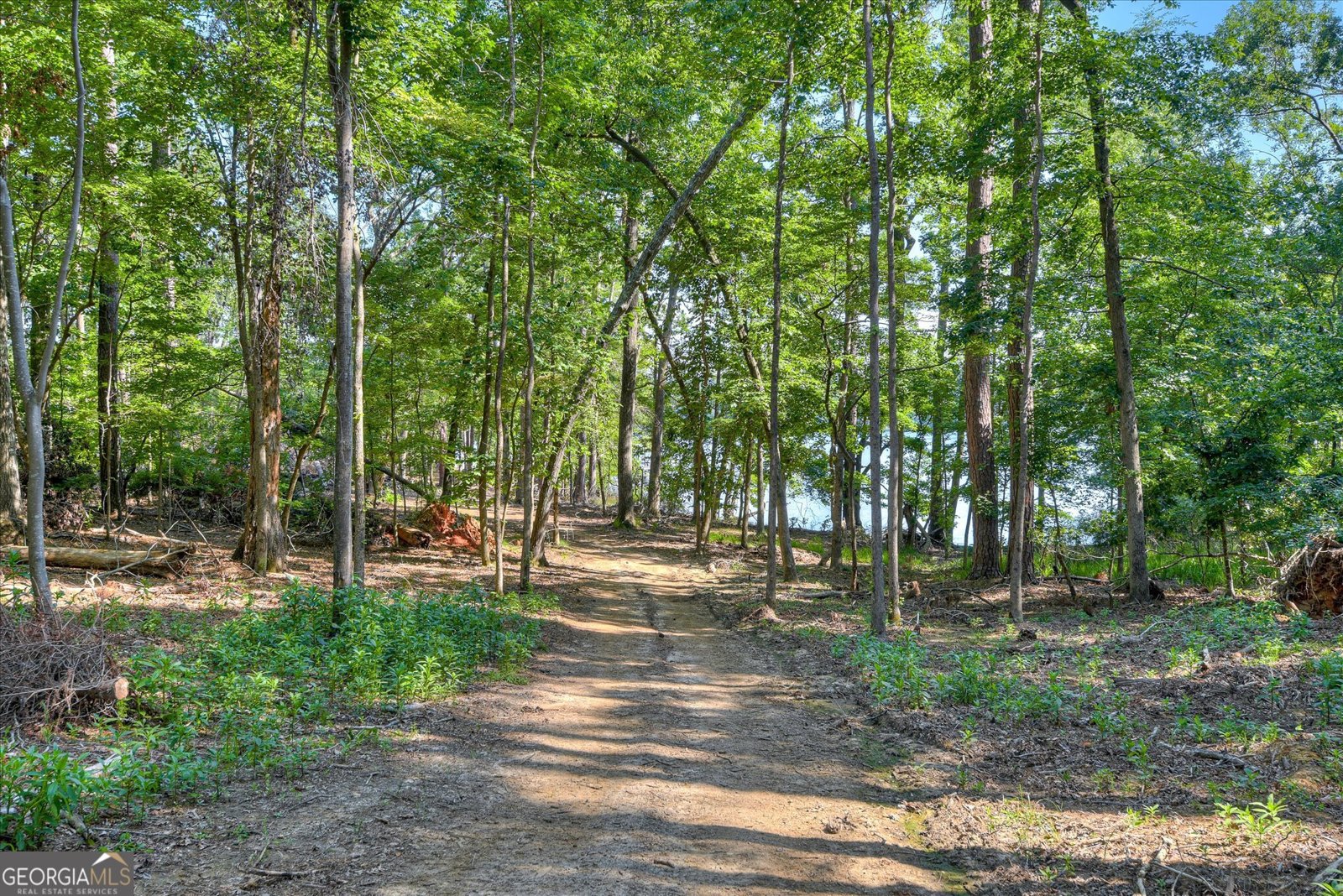 1199 Pawnee Drive Lincolnton - 66