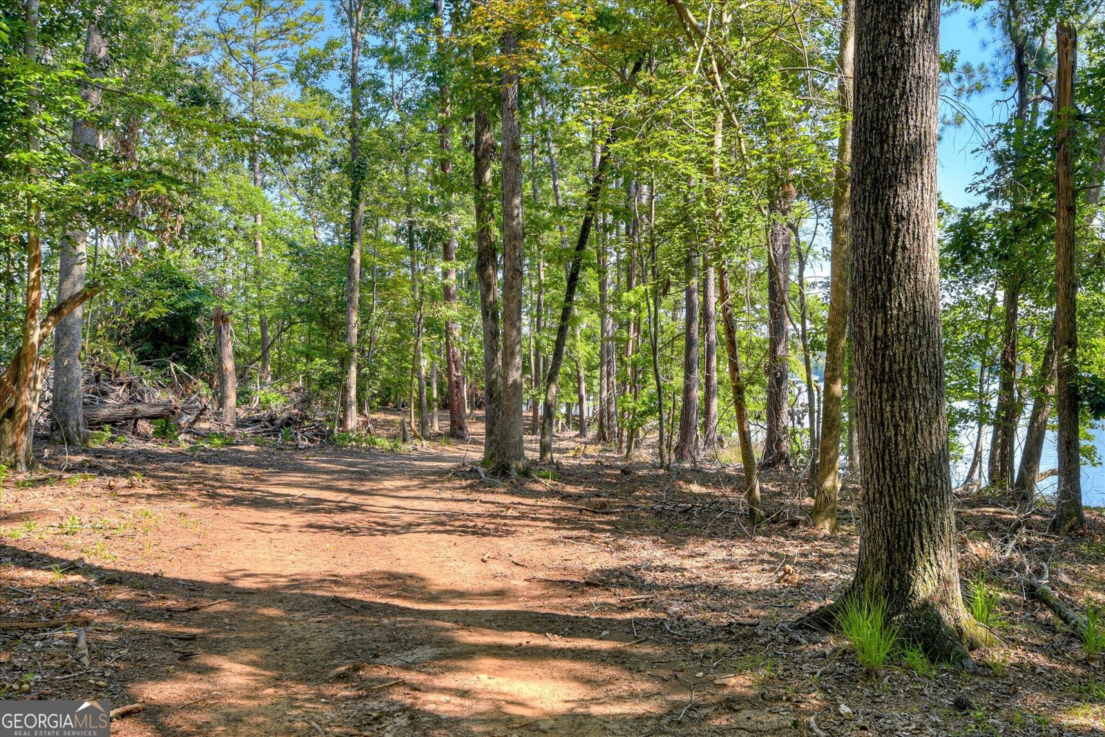 1199 Pawnee Drive Lincolnton - 67