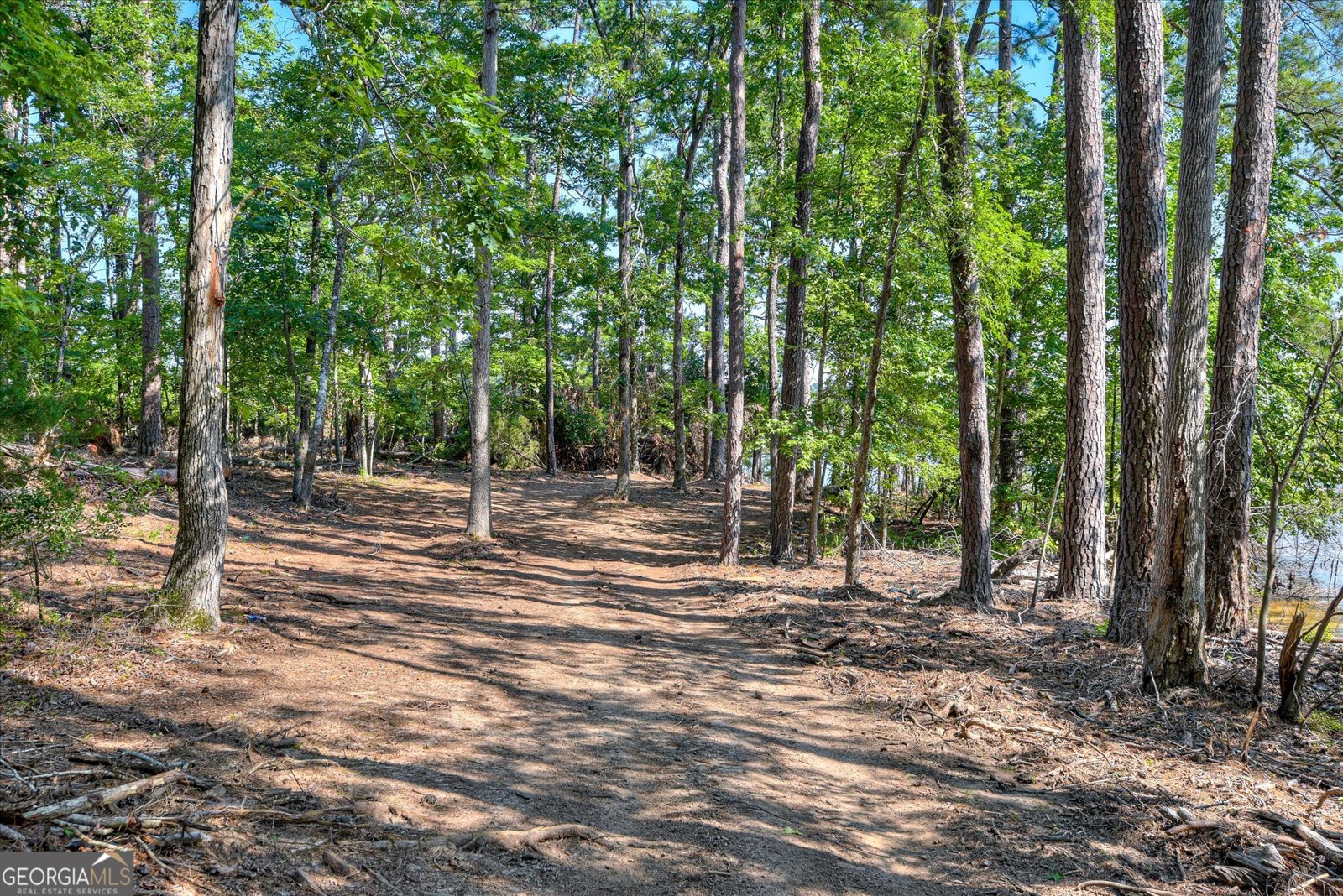 1199 Pawnee Drive Lincolnton - 68