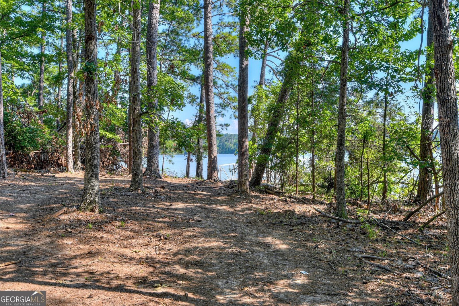 1199 Pawnee Drive Lincolnton - 69