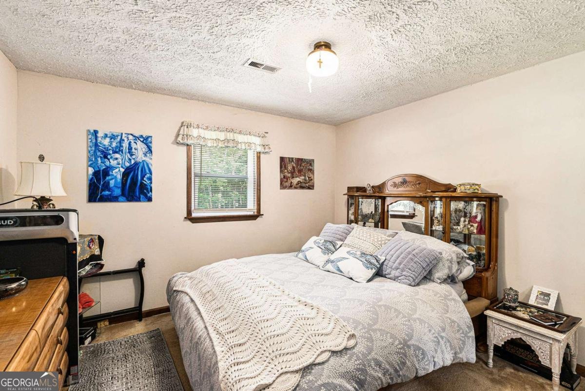 784 Rowe Road Senoia - 21