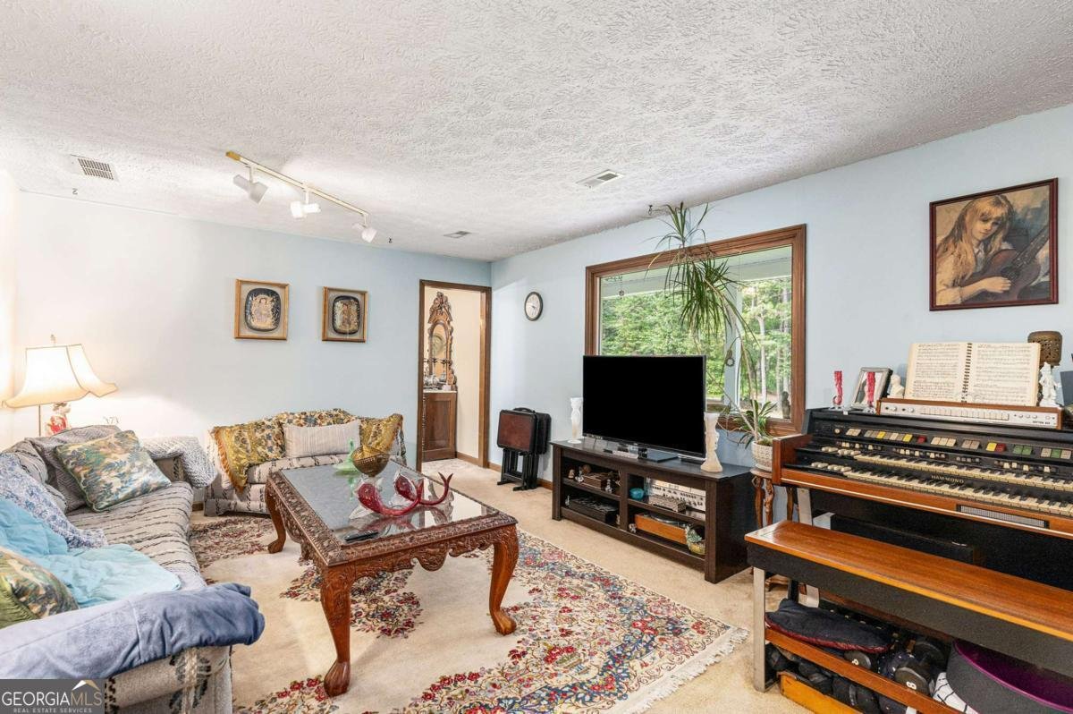 784 Rowe Road Senoia - 7