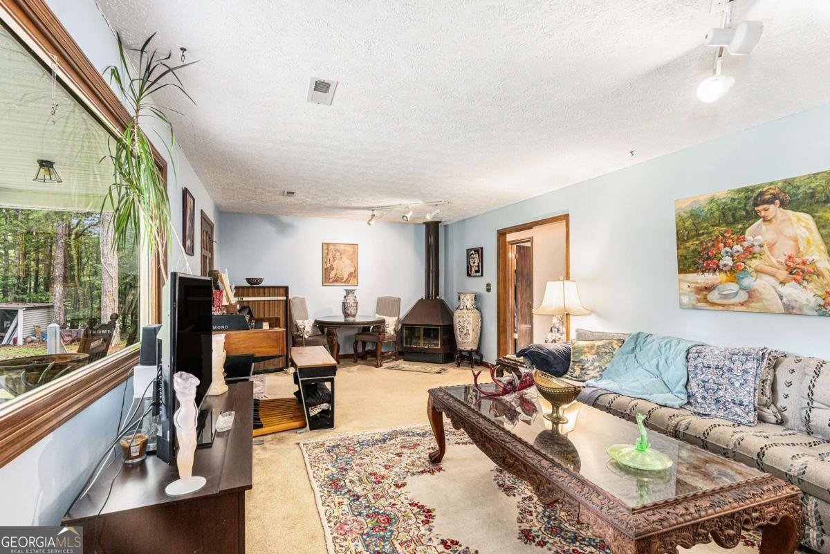 784 Rowe Road Senoia - 8