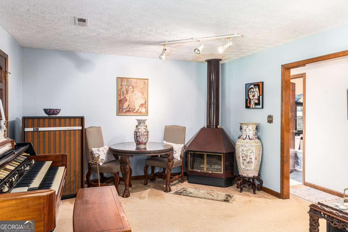 784 Rowe Road Senoia - 9