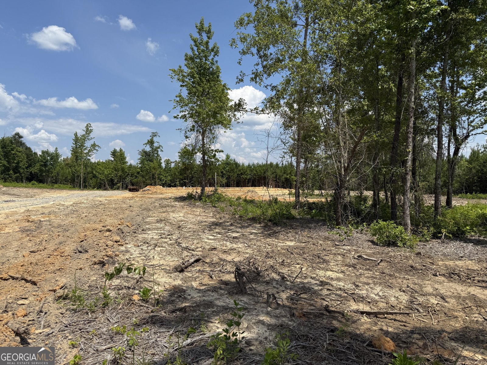 LOT 1 Silver Dollar Road Barnesville - 4