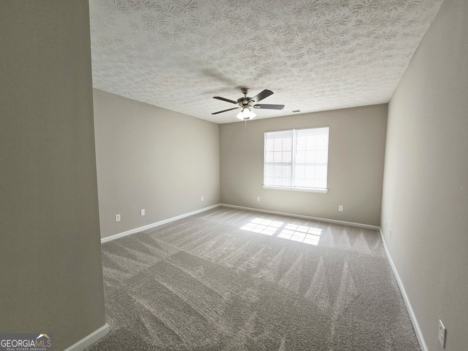 537 Goldfinch Way Stockbridge - 17