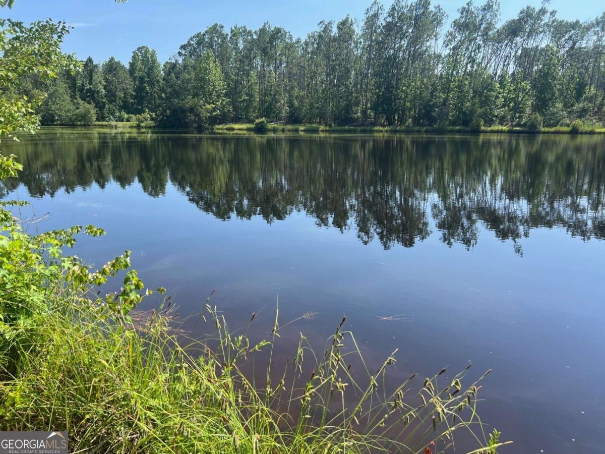 460 Taylor Springs Vidalia - 10