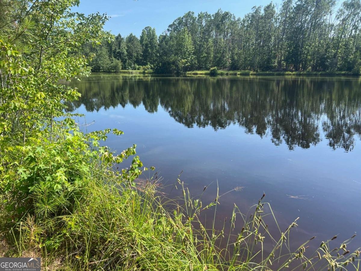 460 Taylor Springs Vidalia - 11