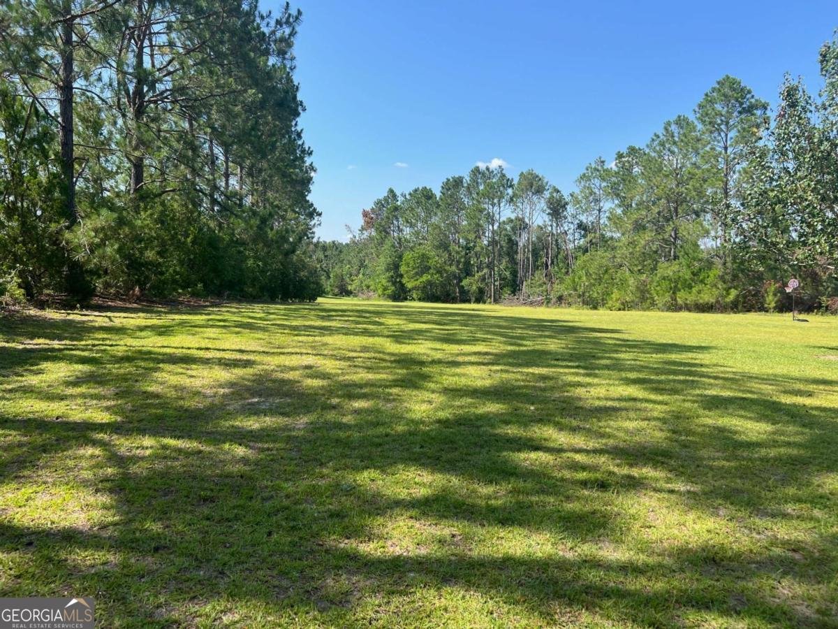 460 Taylor Springs Vidalia - 15