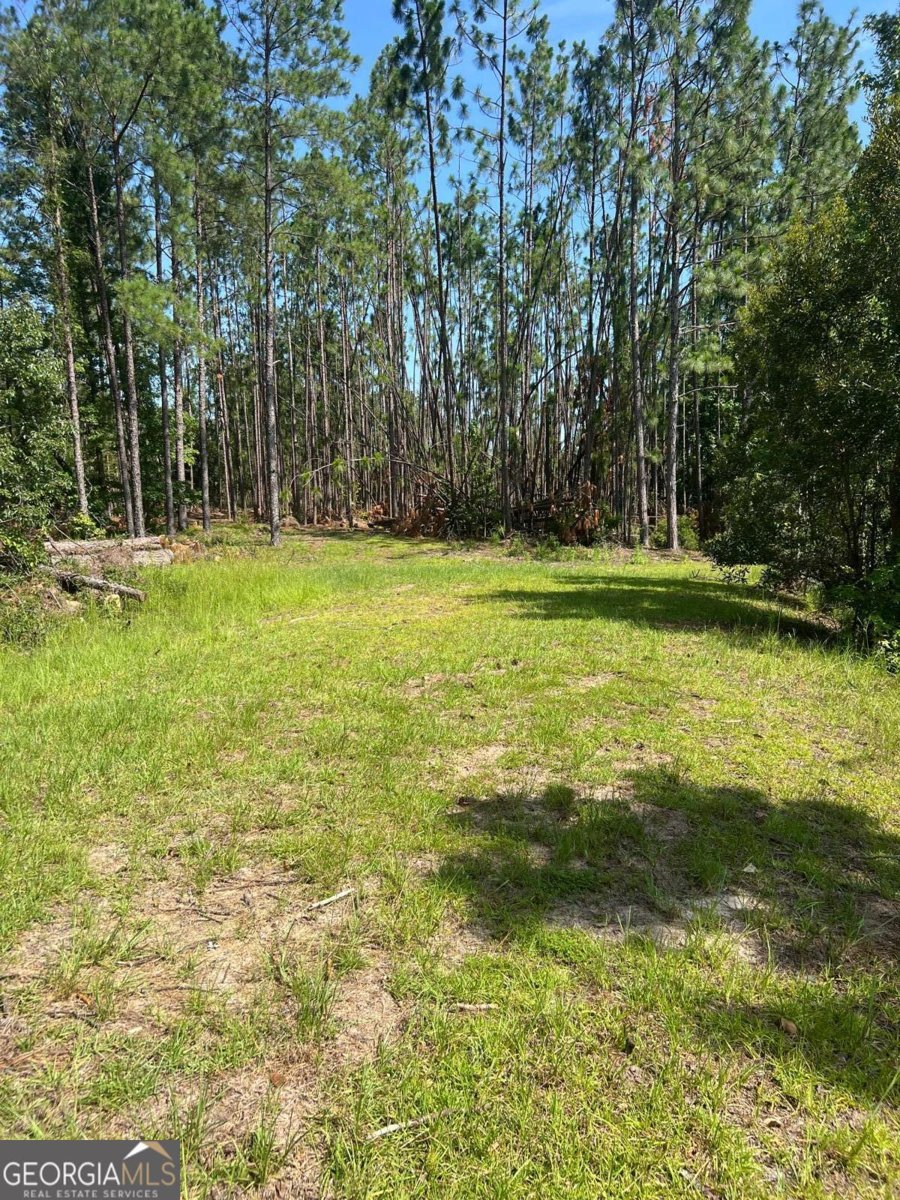 460 Taylor Springs Vidalia - 16