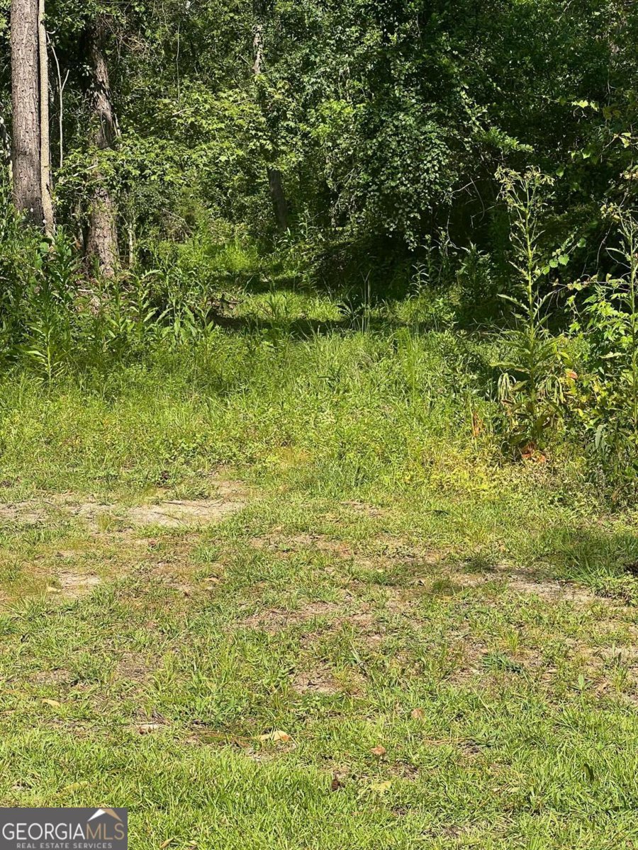 460 Taylor Springs Vidalia - 17