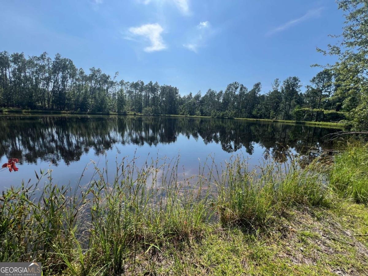 460 Taylor Springs Vidalia - 24