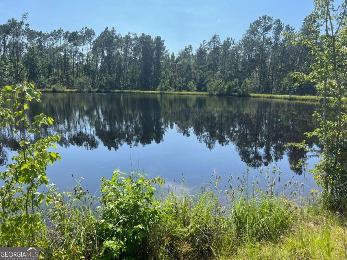 460 Taylor Springs Vidalia - 28