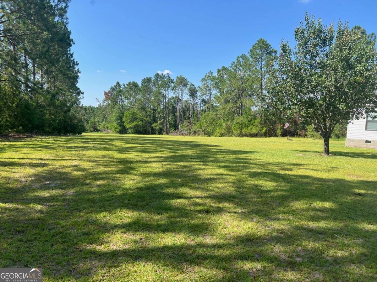460 Taylor Springs Vidalia - 29