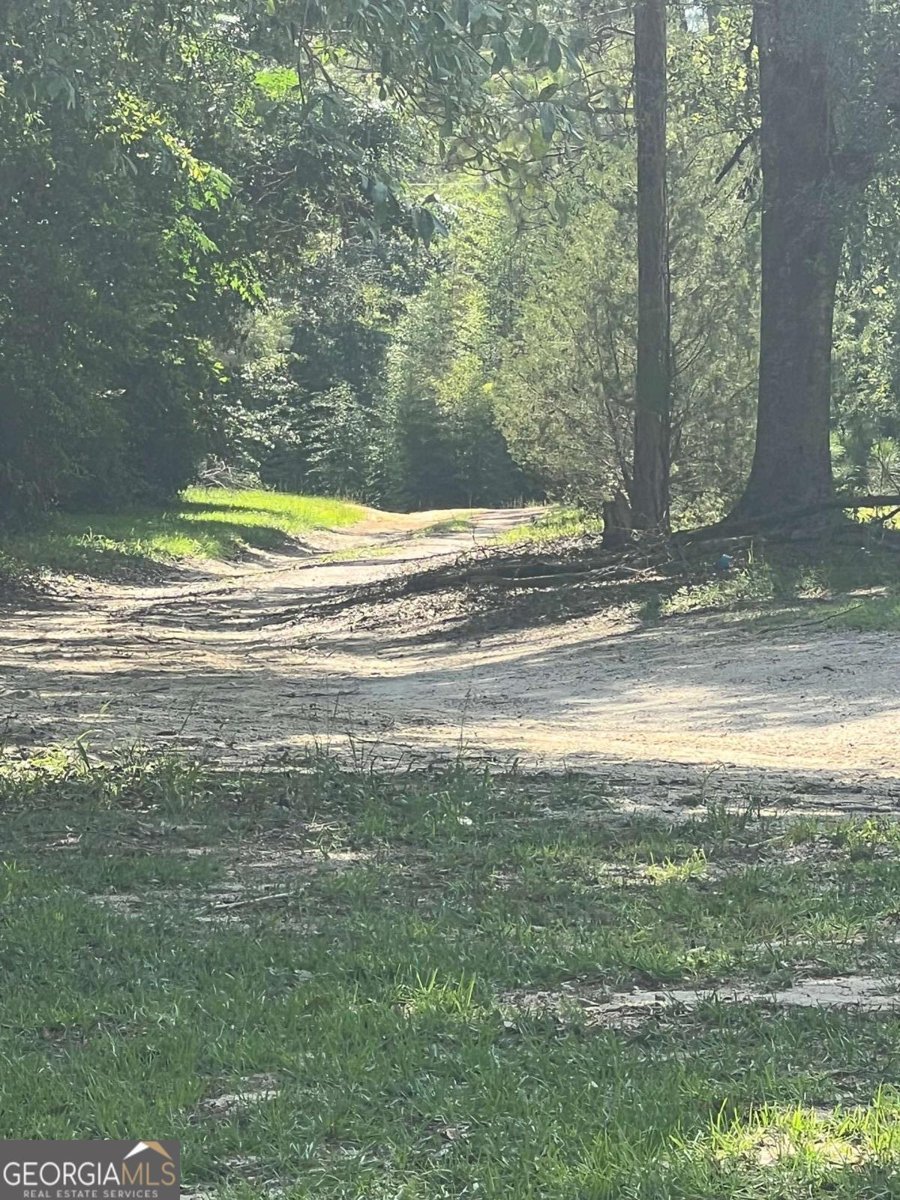 460 Taylor Springs Vidalia - 33