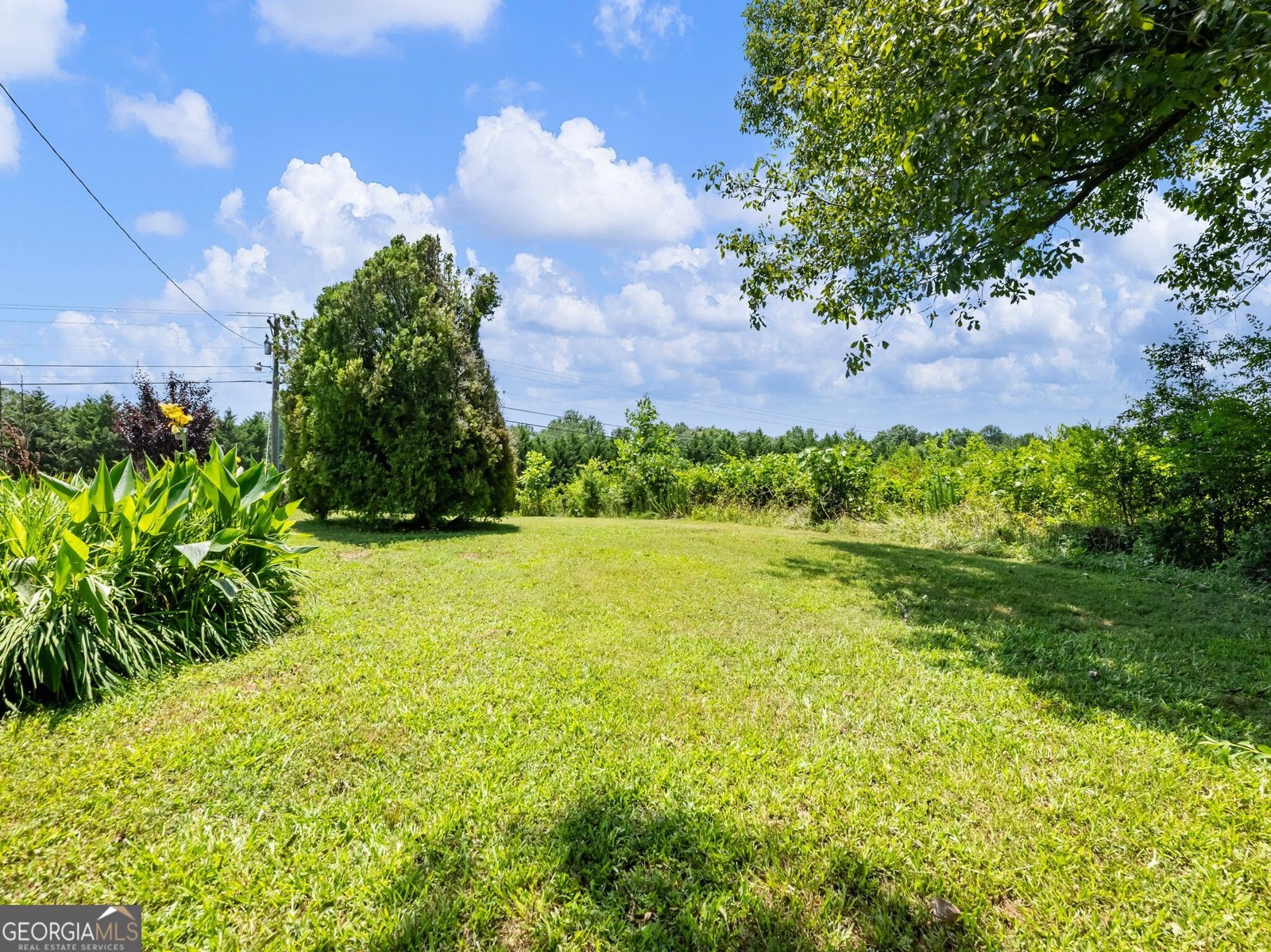 315 Highway 115 Demorest - 18