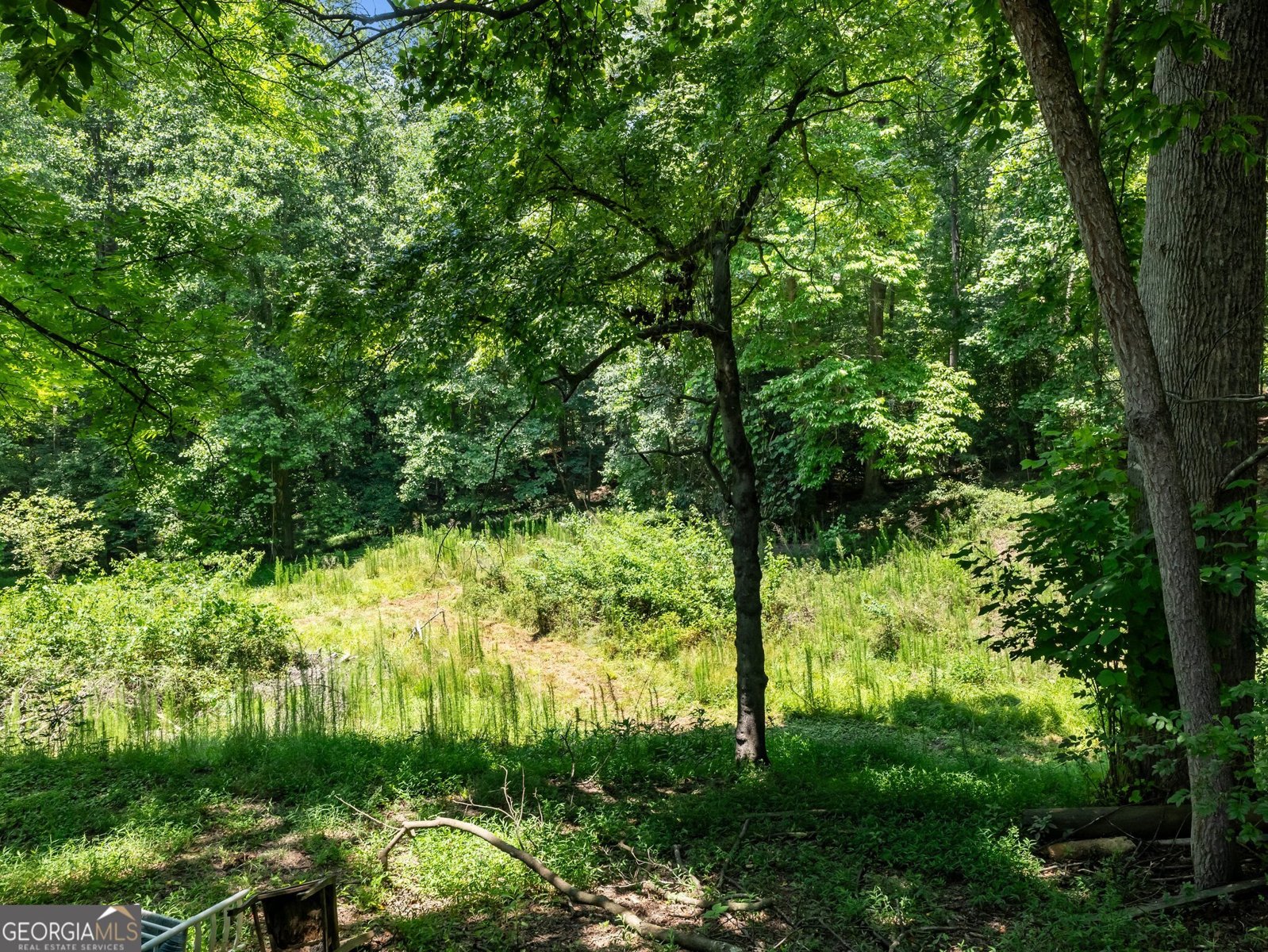 315 Highway 115 Demorest - 28