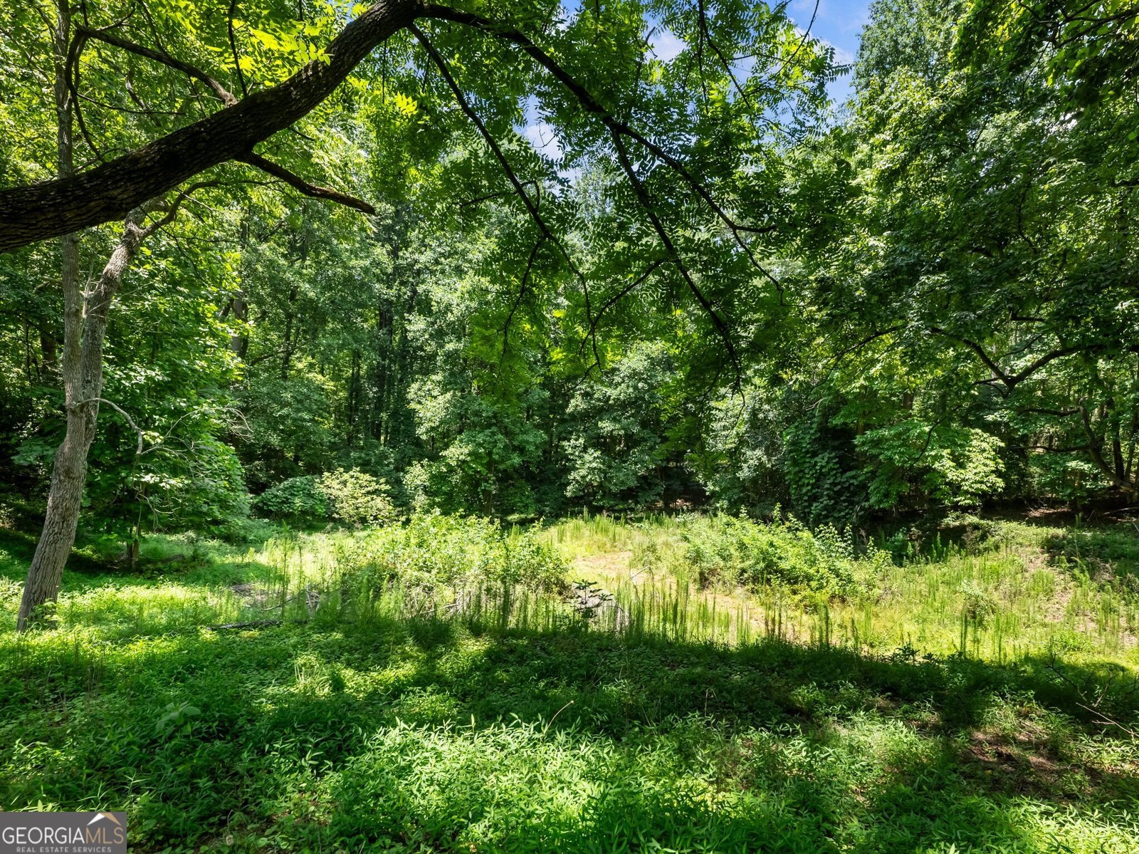 315 Highway 115 Demorest - 29