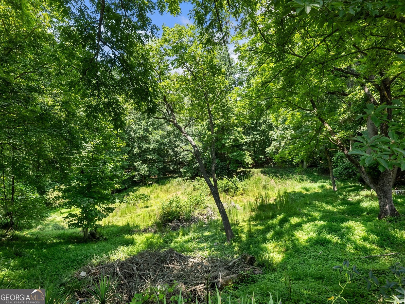 315 Highway 115 Demorest - 30