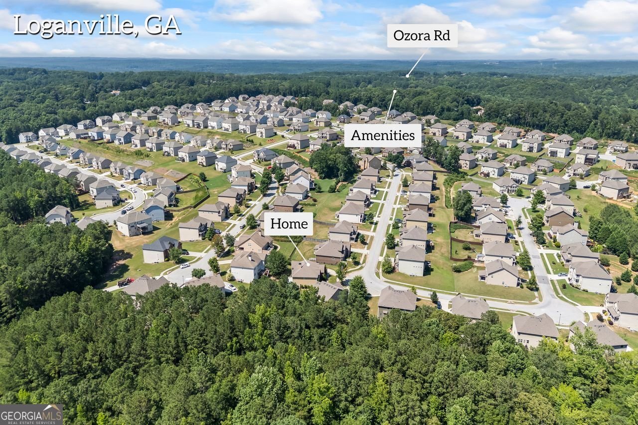 3843 DRAGON FLY Lane Loganville - 36