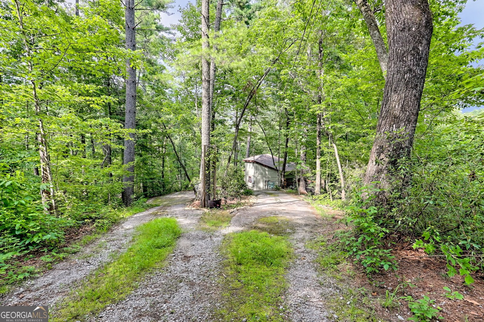 1920 E Boggs Mtn Road Tiger - 3