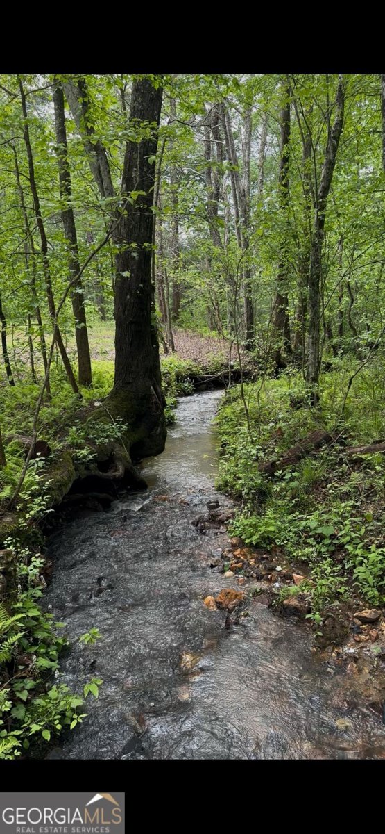 231 Auberry Lane Morganton - 32