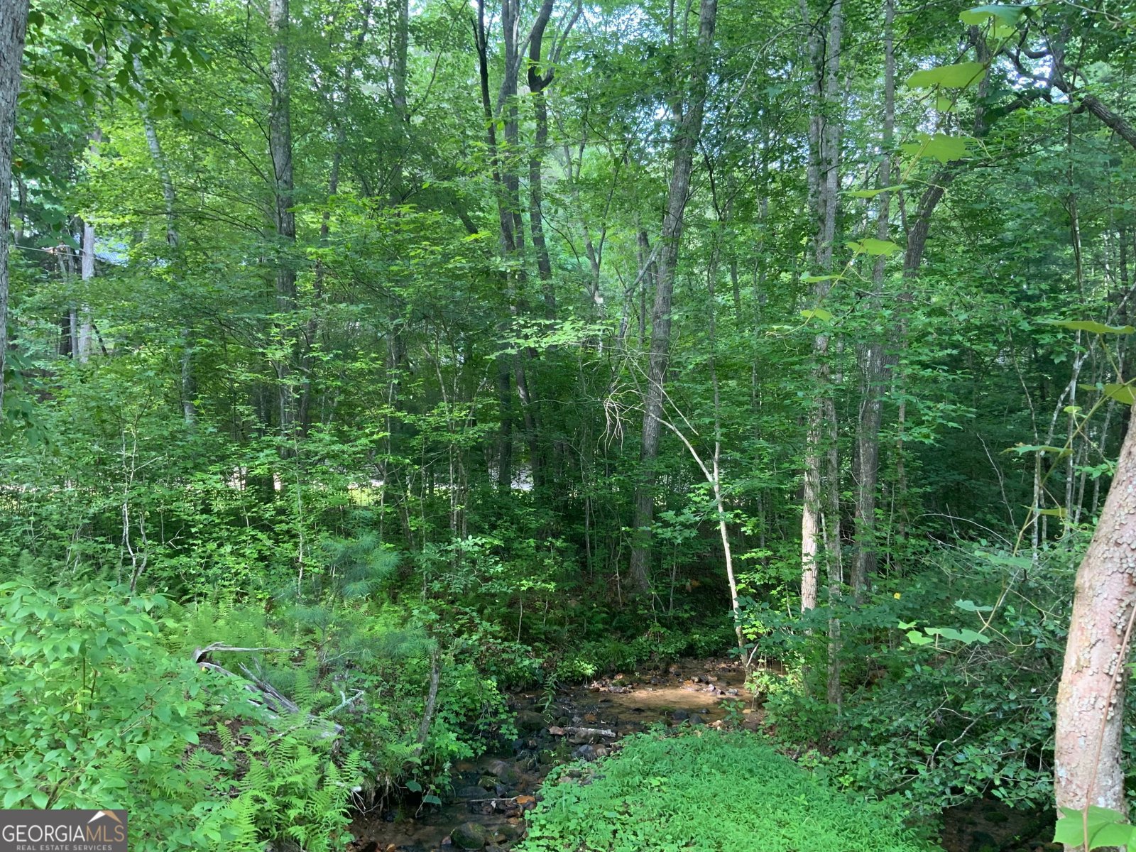 231 Auberry Lane Morganton - 33