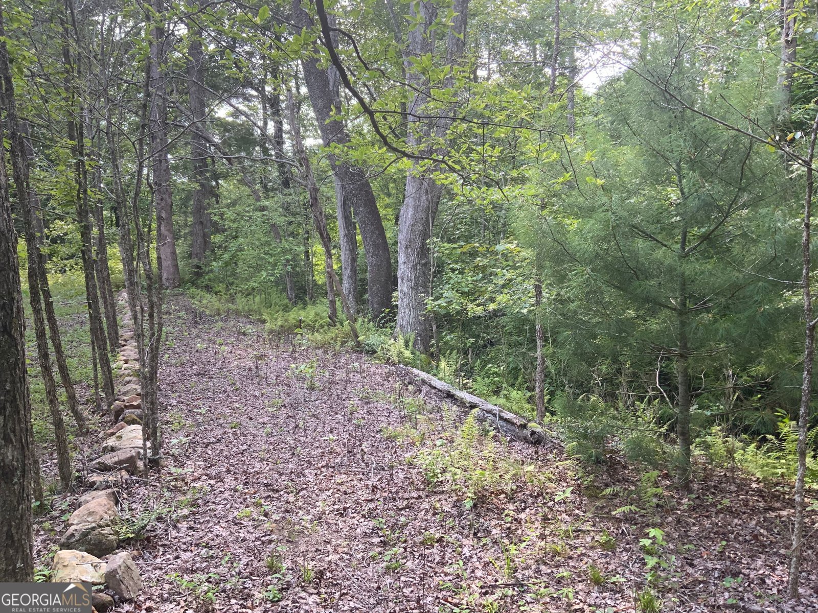 231 Auberry Lane Morganton - 36