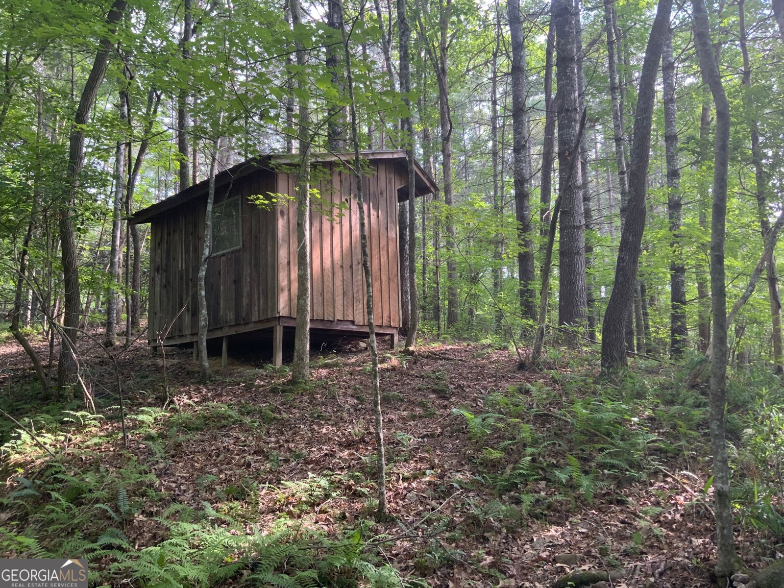 231 Auberry Lane Morganton - 37