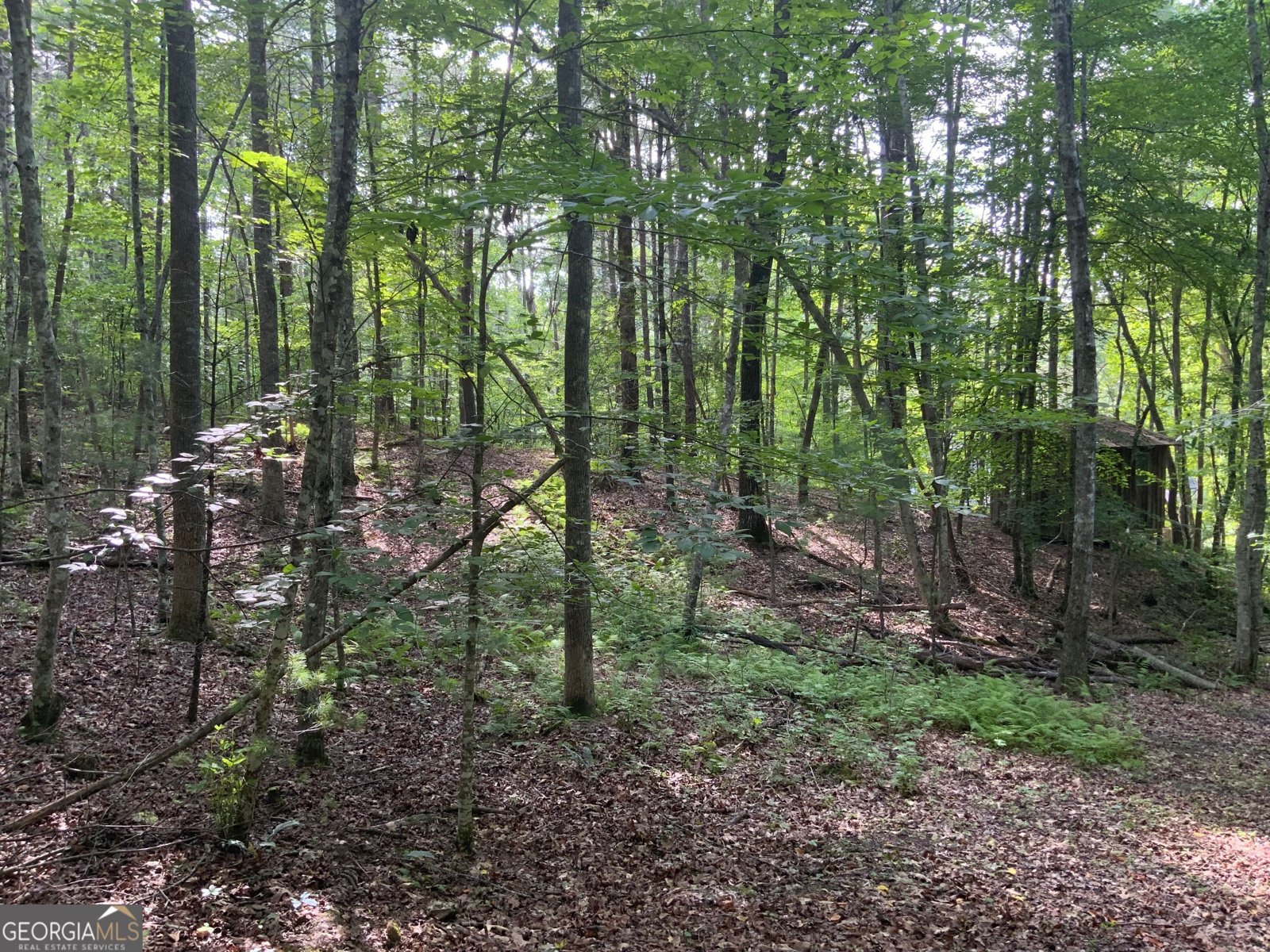 231 Auberry Lane Morganton - 39