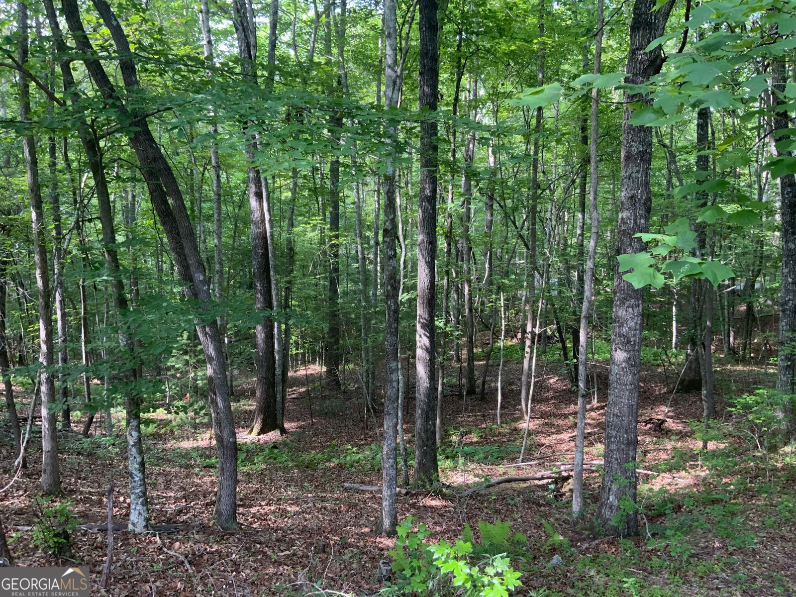 231 Auberry Lane Morganton - 40