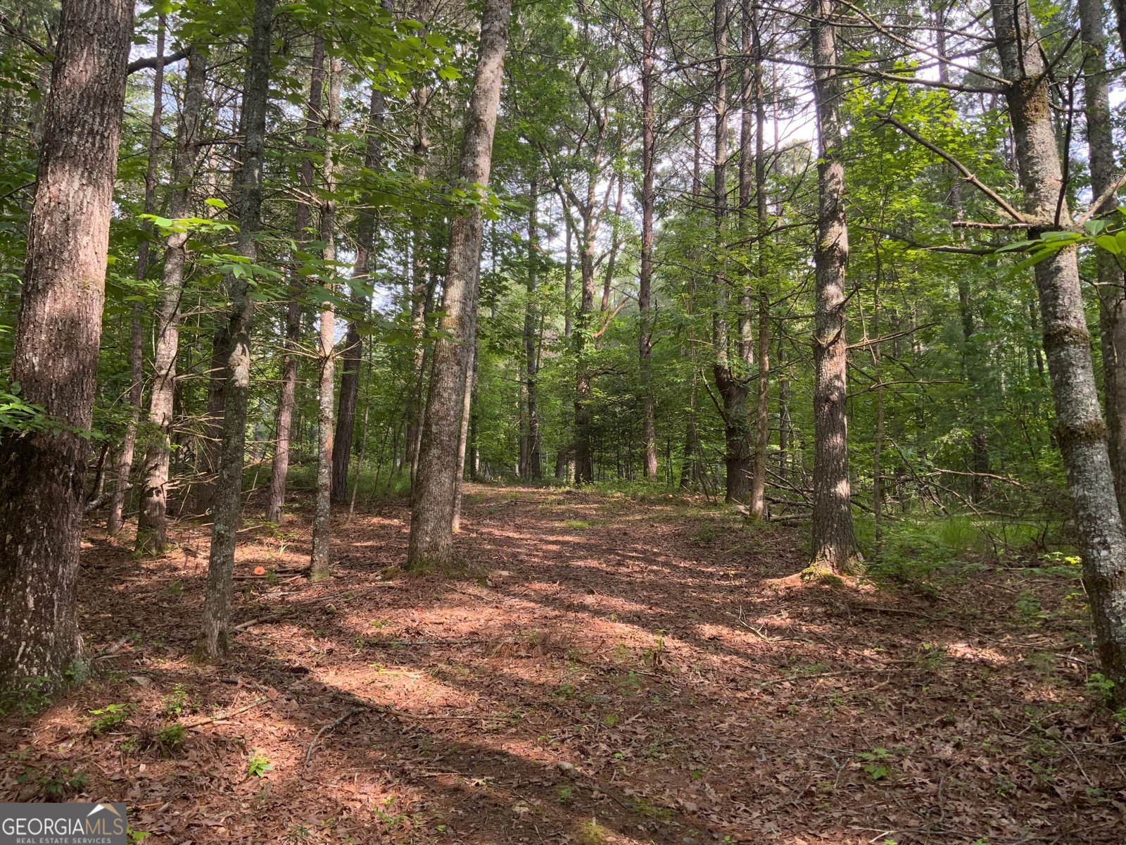 231 Auberry Lane Morganton - 41