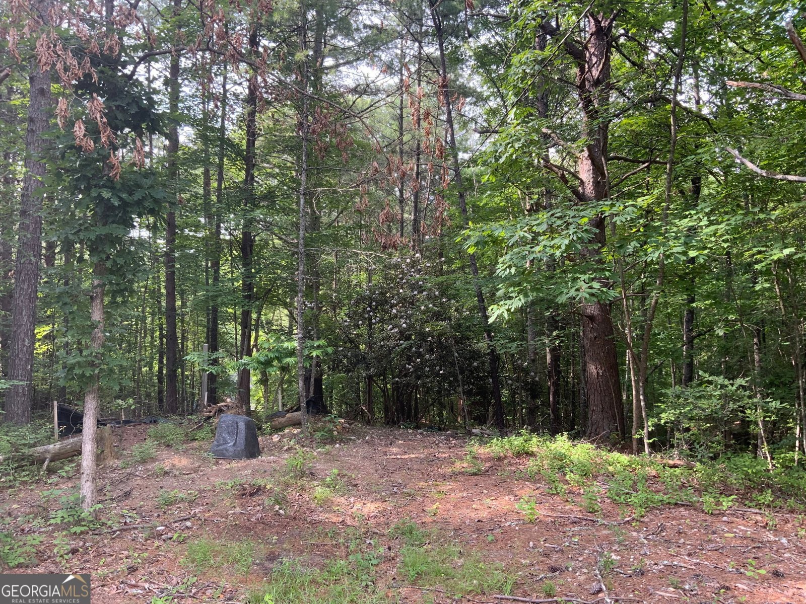 231 Auberry Lane Morganton - 42