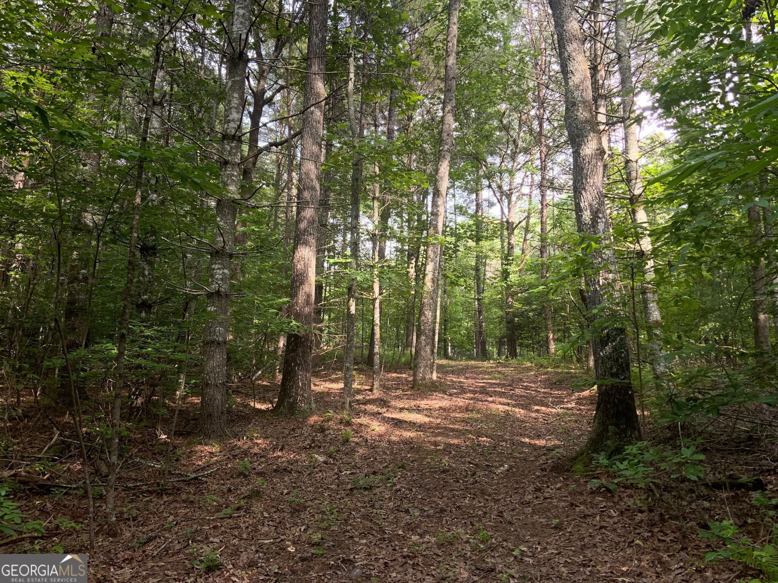 231 Auberry Lane Morganton - 43