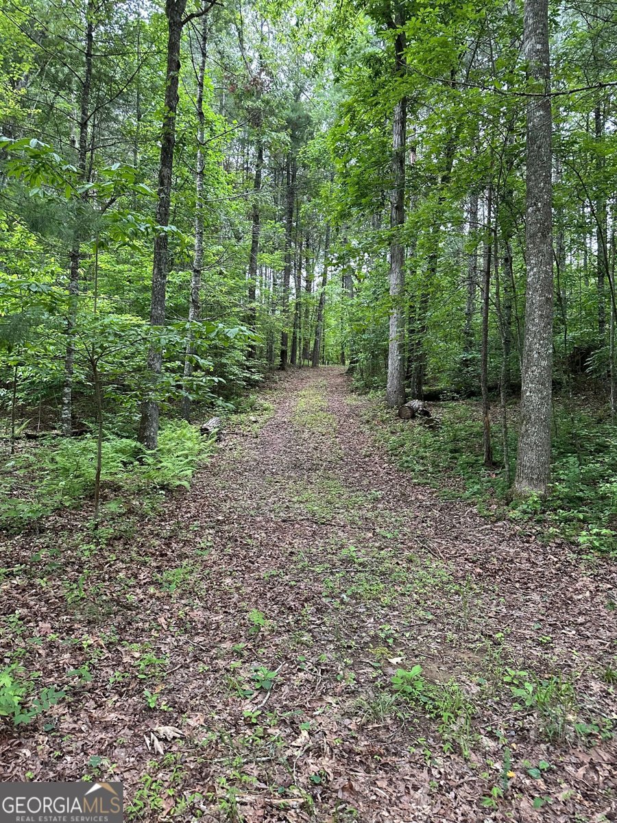 231 Auberry Lane Morganton - 44