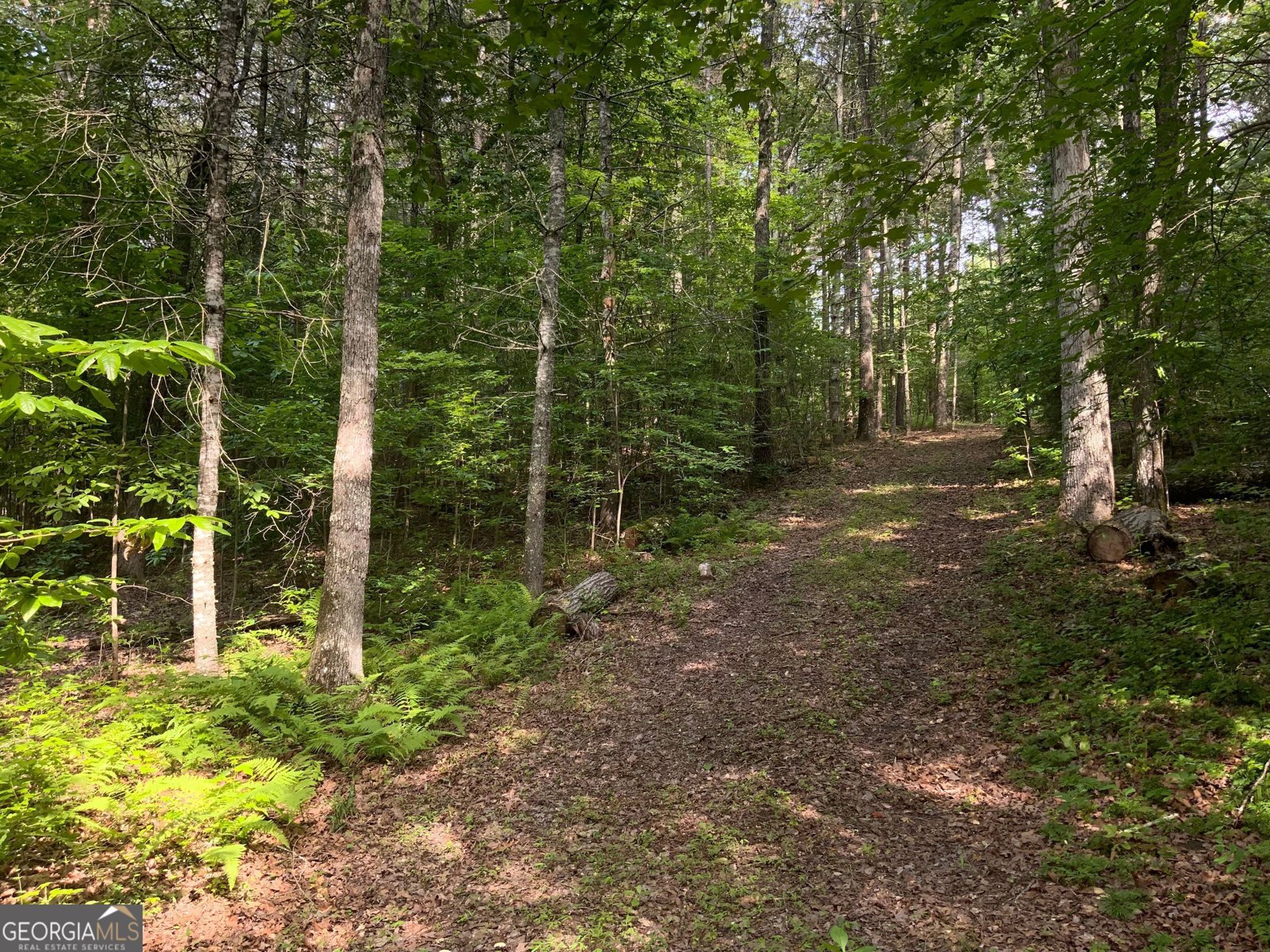 231 Auberry Lane Morganton - 45