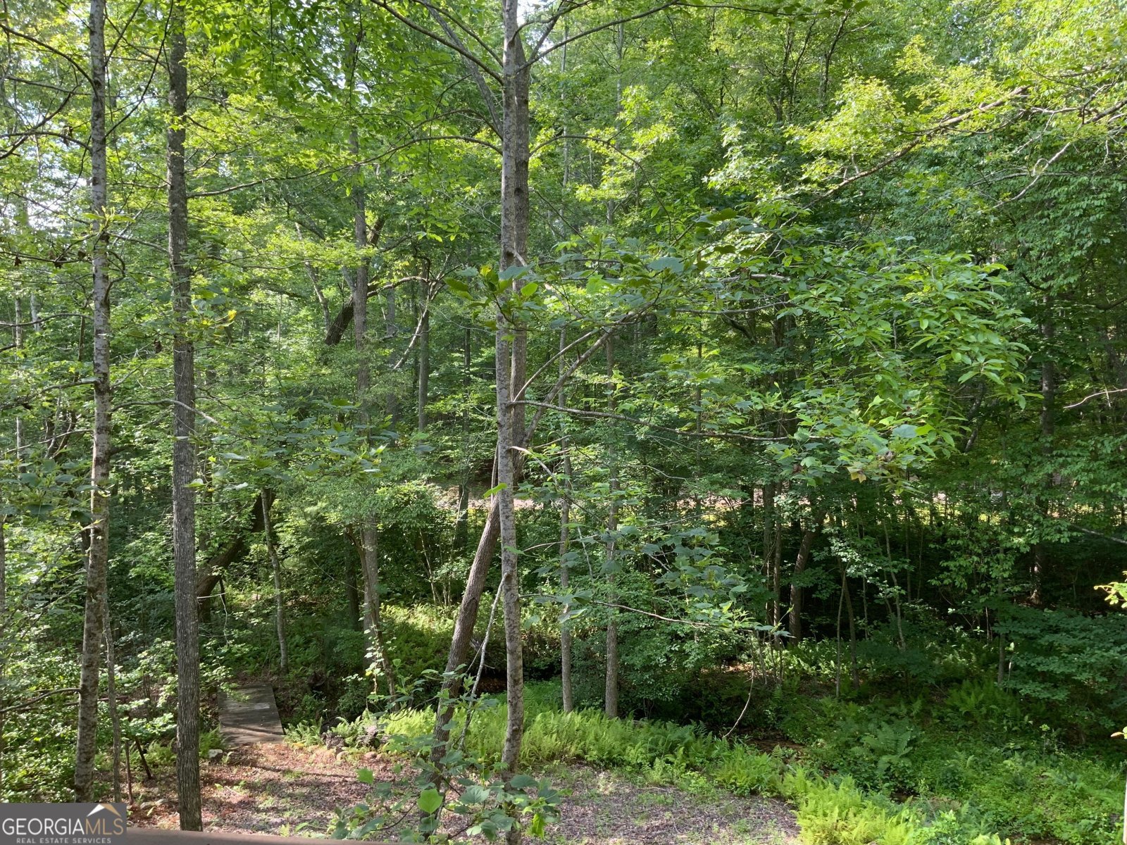 231 Auberry Lane Morganton - 46