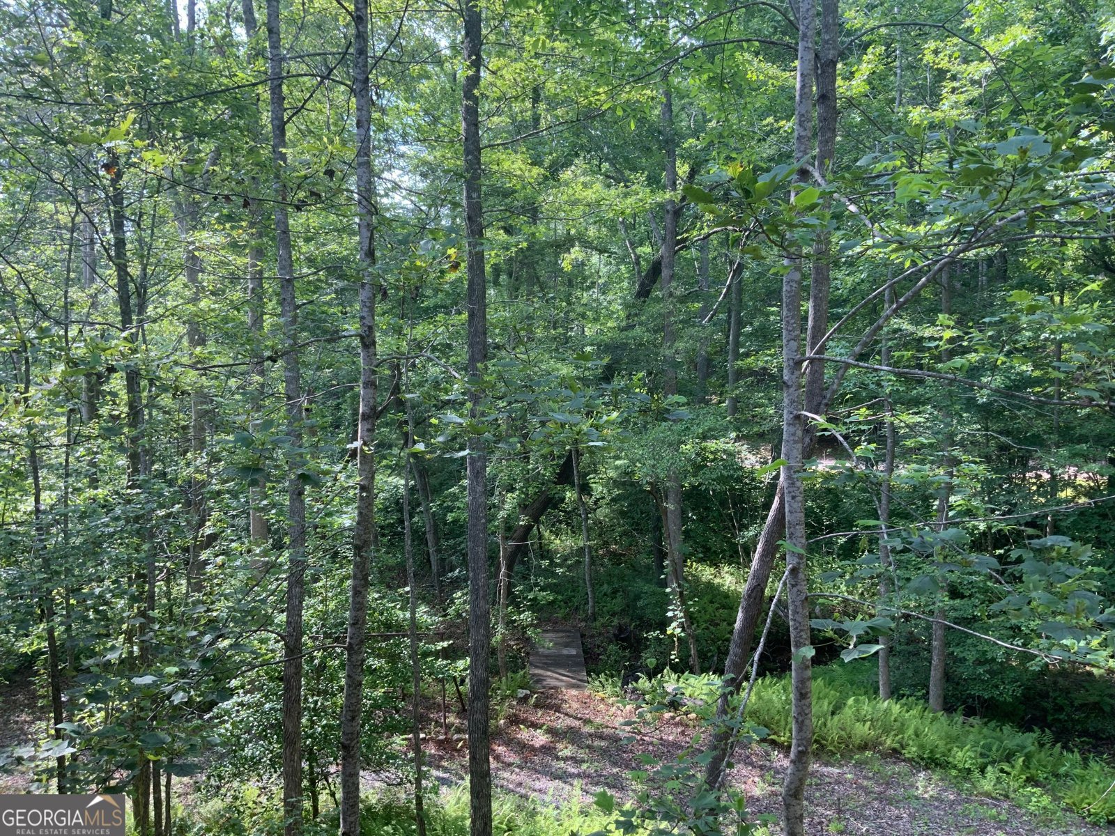 231 Auberry Lane Morganton - 47
