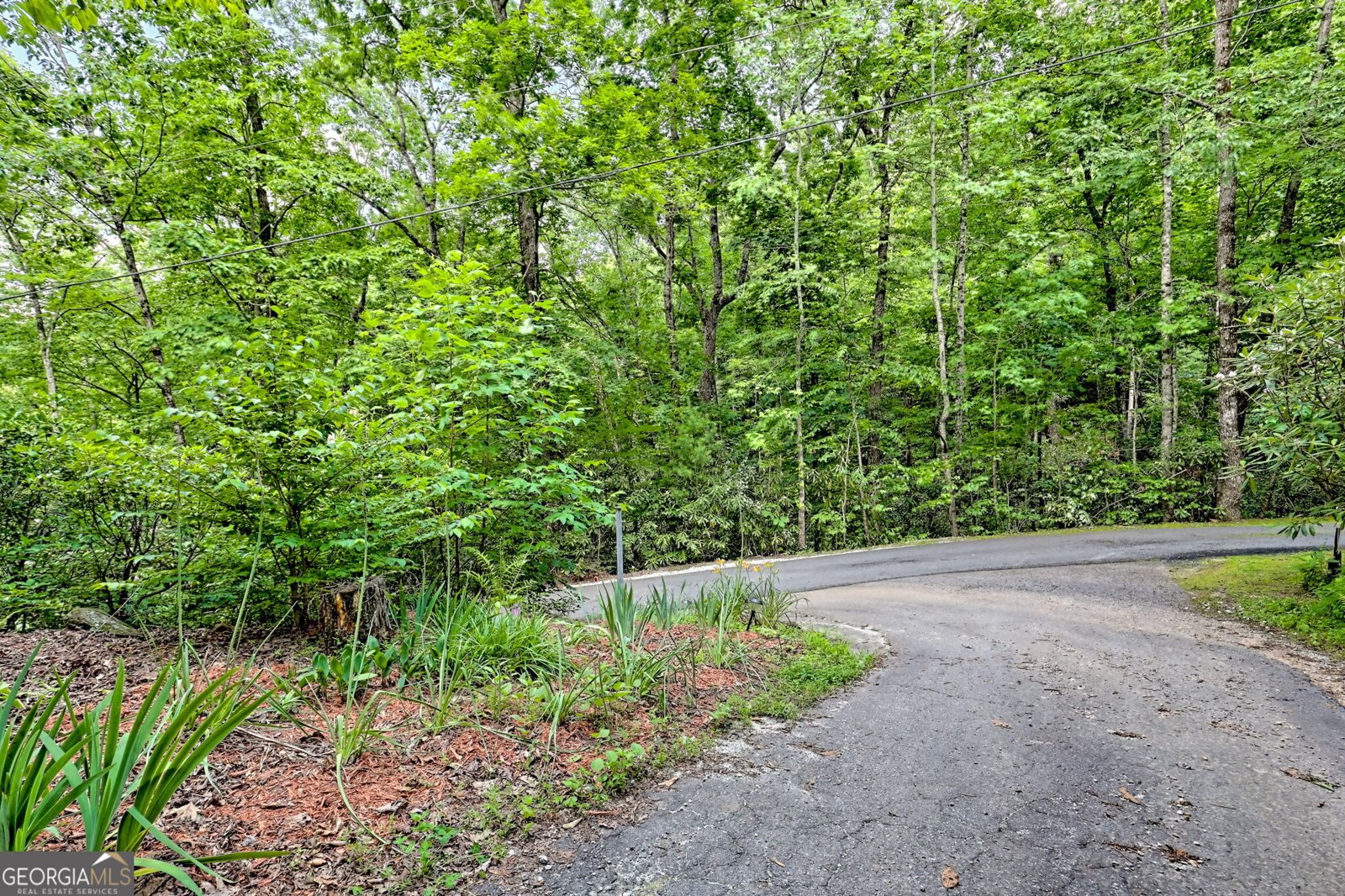232 Bent Laurel Ridge Road Clayton - 36